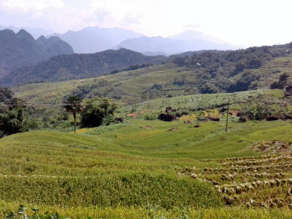 Eco Homestay Mai Châu Bagian luar foto
