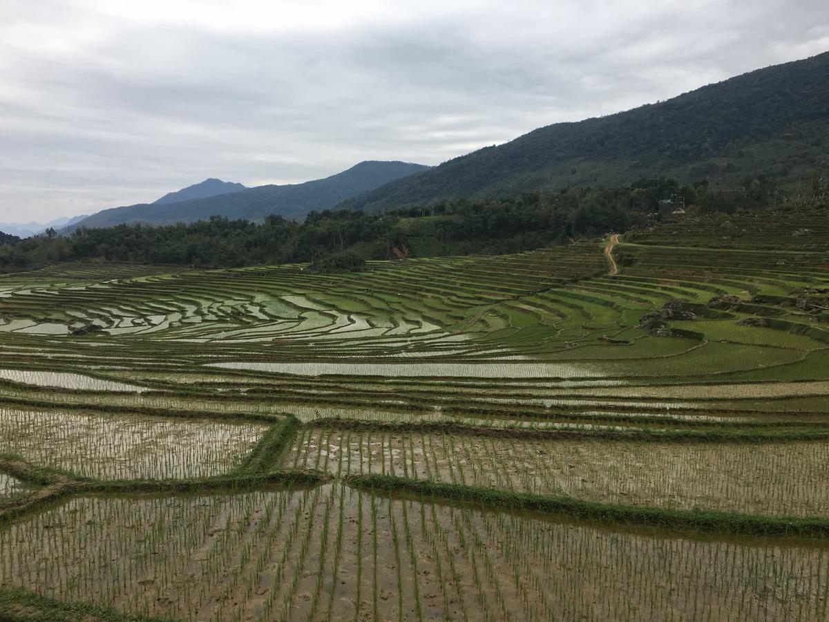 Eco Homestay Mai Châu Bagian luar foto