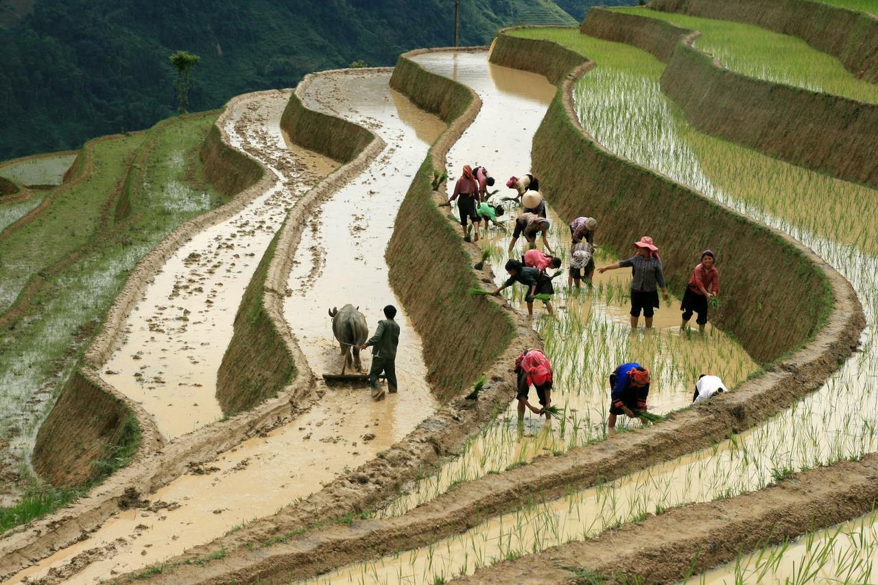 Eco Homestay Mai Châu Bagian luar foto