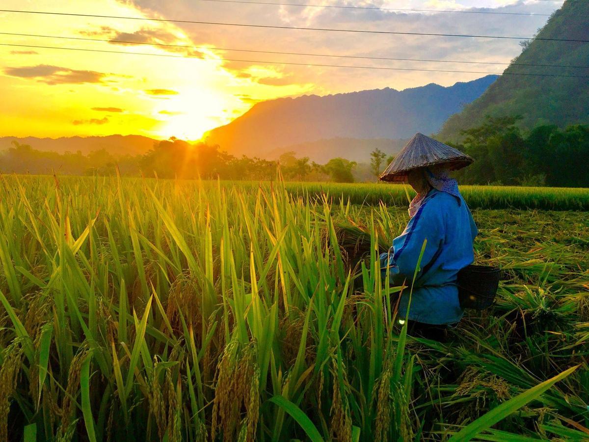 Eco Homestay Mai Châu Bagian luar foto