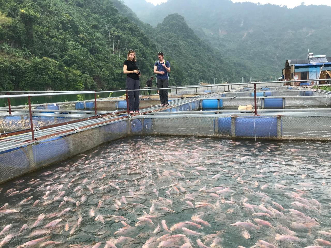 Eco Homestay Mai Châu Bagian luar foto