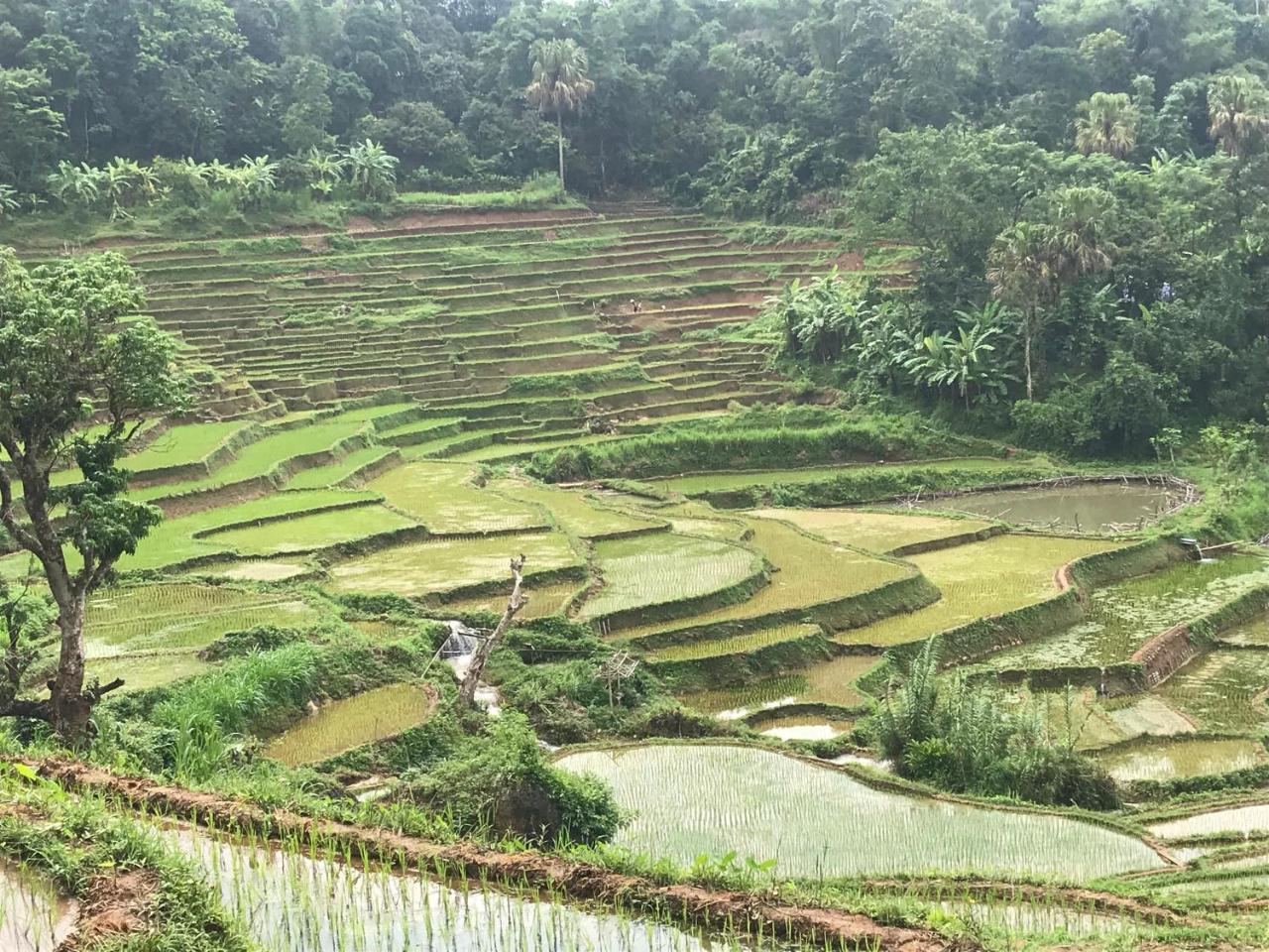 Eco Homestay Mai Châu Bagian luar foto